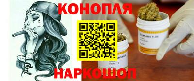 гашик Будённовск