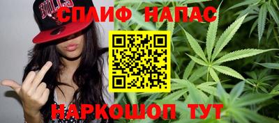 гашик Будённовск